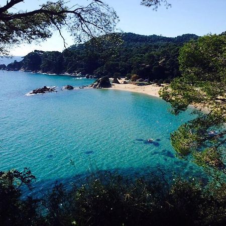 Appartements Les Pesquiers Hyères Plage Esterno foto
