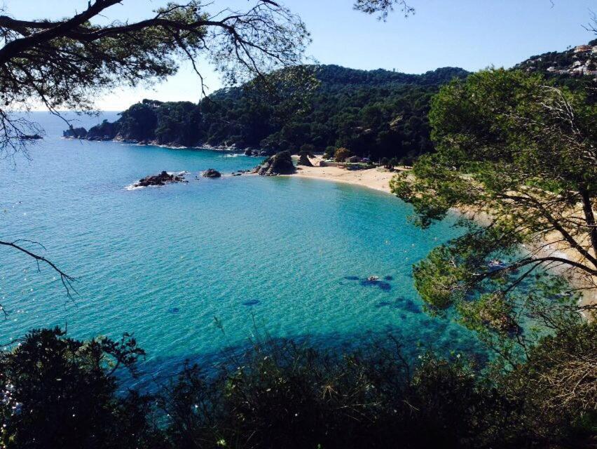 Appartements Les Pesquiers Hyères Plage Esterno foto
